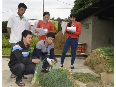 Sản Xuất Nông Sản Đảm Bảo Sức Khỏe Người Tiêu Dùng