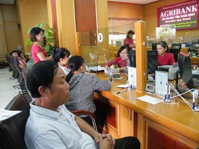 Agribank Nam Định tiếp nguồn lực cho nông thôn đổi mới