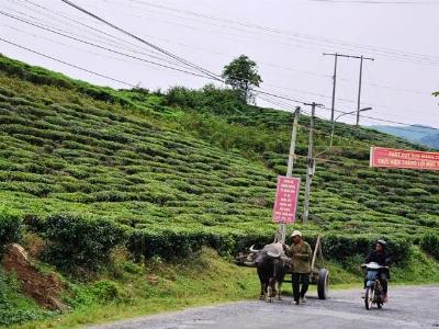 Đến xã Ba, tìm người giàu rất dễ