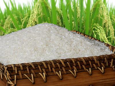 Giá lúa gạo tại Sóc Trăng ngày 14-09-2015