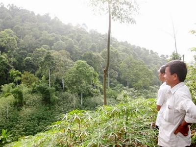Giữ nguồn sống ở bản Lọt