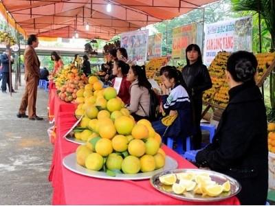 Mãn nhãn với Lễ hội cam Cao Phong