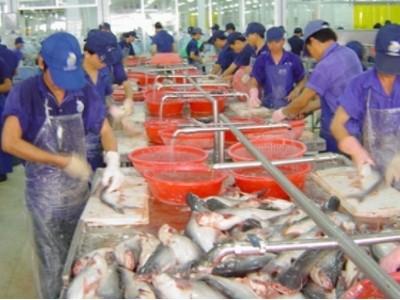 Phản đối Mỹ giám sát cá tra, ba sa của Việt Nam