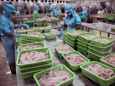 Phát triển thủy sản Việt Nam: Xử lý 2 điểm yếu cốt tử