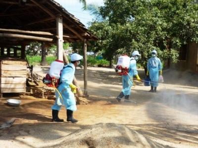 Phòng chống dịch bệnh GSGC thời điểm cuối năm không được phép chủ quan, lơ là