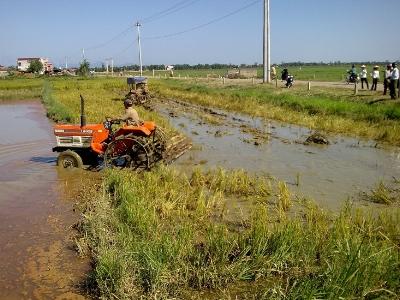 Quảng Bình đẩy mạnh sản xuất hàng hóa