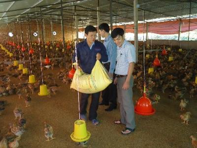 Tham gia hiệu quả xây dựng nông thôn mới