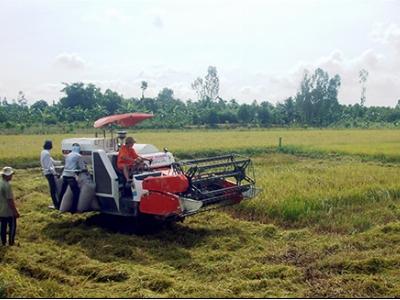 Tháo nút thắt trong tín dụng nông nghiệp, nông thôn