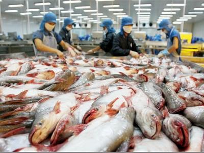 Thêm 8 cơ sở chế biến thủy sản được xuất khẩu vào Hàn Quốc và EU