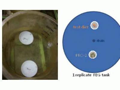 Attractability of Probiotic-Coated Shrimp Feed