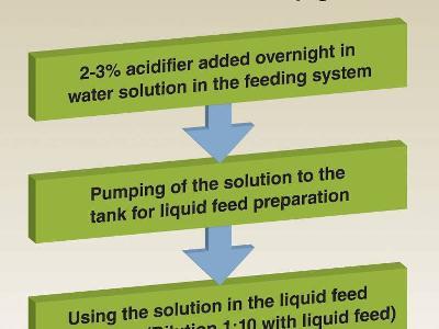 How to reduce liquid pig feed microbial contamination