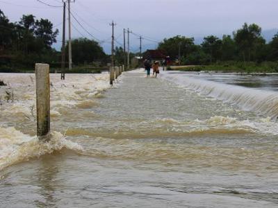 Bình Định: Đê sông sạt lở, nông dân ngừng gieo sạ đến hết ngày 20.12