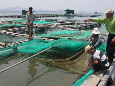 Gian nan dịch bệnh thủy sản