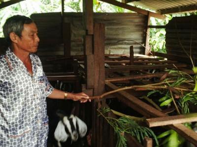 Tạo vốn mồi giúp nông dân vươn lên làm giàu