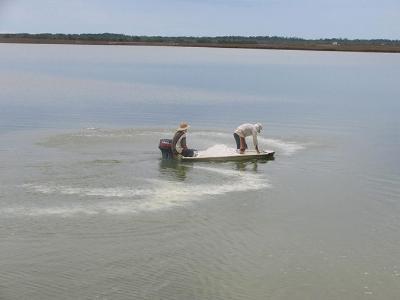 Liming and its Principles in Aquaculture