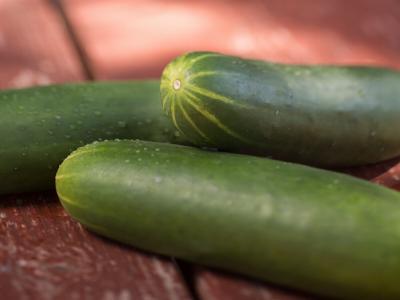 Cucumbers in containers