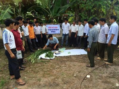 Tăng năng suất, giảm chi phí đầu tư nhờ bón phân N-P-K-Si