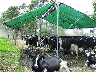 Raising Livestock: Keeping your livestock cool this summer