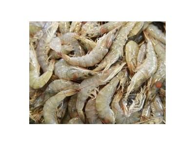 First Thai Shrimp Farm Certified ASC