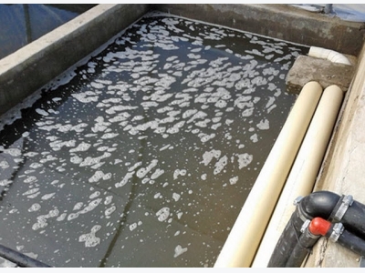A better way to do aquaponics
