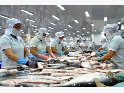 VASEP: Tra fish exports to Spain continue falling