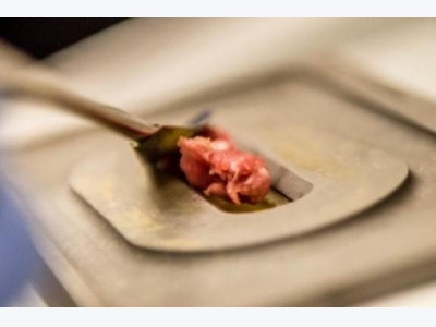 New technique can detect impurities in ground beef within minutes