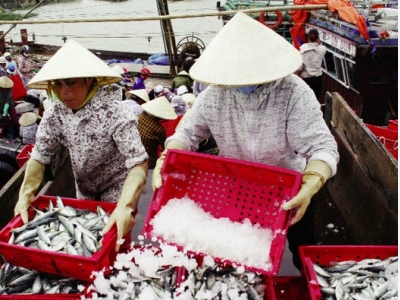 Nâng cao năng lực khai thác thủy sản