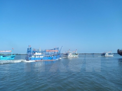Fisheries – important economic sector of Vietnam