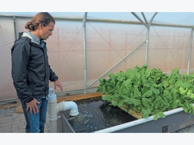 Realising a dream with urban aquaponic farming