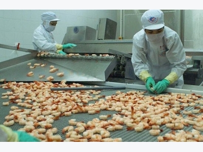 Vietnams seafood sector looks to long-term growth