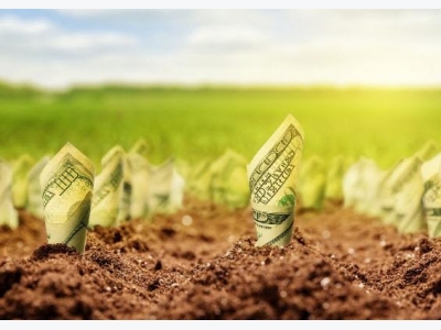 Farm sector profitability forecast relatively stable