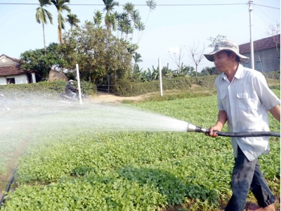 Bí quyết làm giàu: Sống khỏe nhờ trồng rau sạch