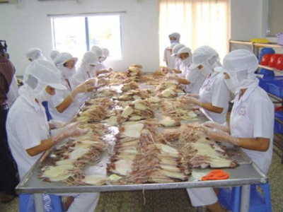 Exports of cuttlefish and octopus to ASEAN unstable