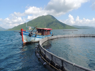 Vietnam poised to become top player in ocean aquaculture