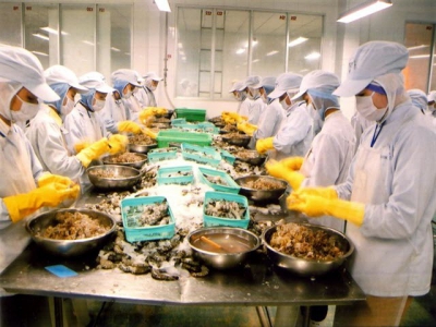 Shrimp farming in mixed ponds prevents diseases in Vietnam