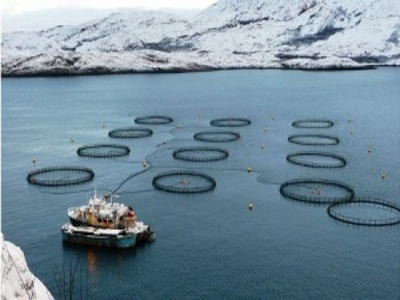 Russias aquaculture industry brimming with potential