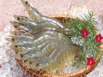 Vietnam tops list of shrimp exporters to Canada