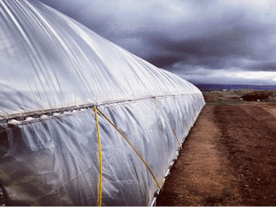 The 4 Best Ways to Cool a Greenhouse