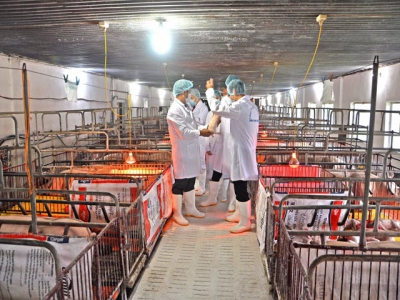 Livestock sector aims to enhance quality, safety