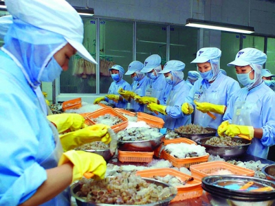 Shrimp by-products hold gold mine potential for Vietnamese processing