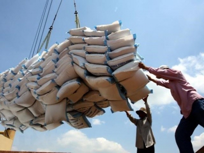 Rice export revenue suffers from price drop