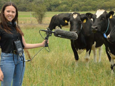 Stand out from the herd: How cows communicate through their lives