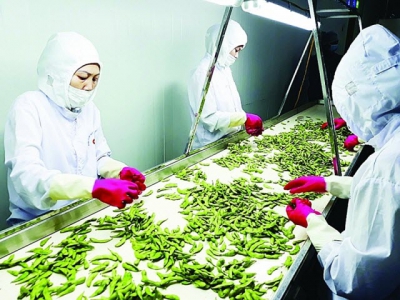 Implementation of CPTPP and EVFTA: Vietnamese agricultural products overcome technical