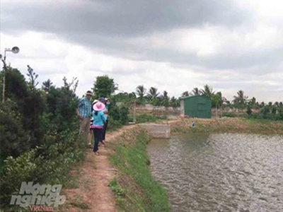 Biển Đông Seafood Company builds the organic pangasius farm