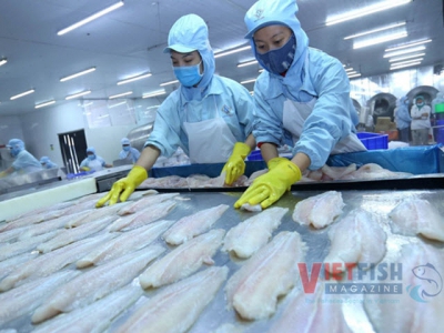 Pangasius exports have been in a slump