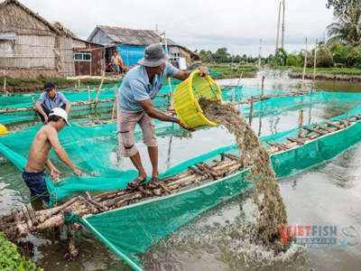 Companies are accompanied with VietShrimp