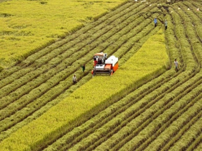 Land use regulations need changing for large-scale agriculture production