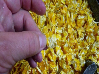 Five tips for making high-quality flaked corn for cattle