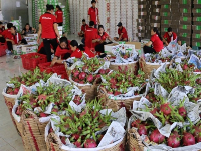 Localities loosen management and businesses cheat, Vietnamese agricultural products