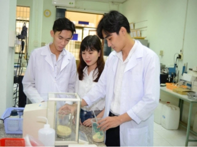 Sáng tạo của nhóm sinh viên chế biến nhựa sinh học từ vỏ tôm